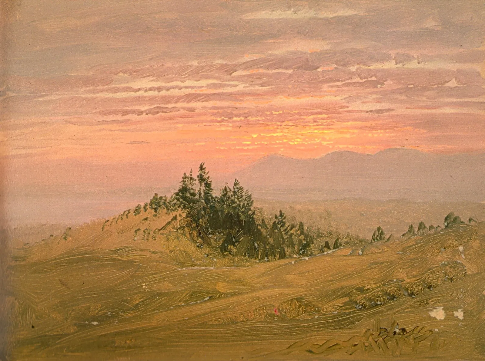 Olana NY State Historic Site