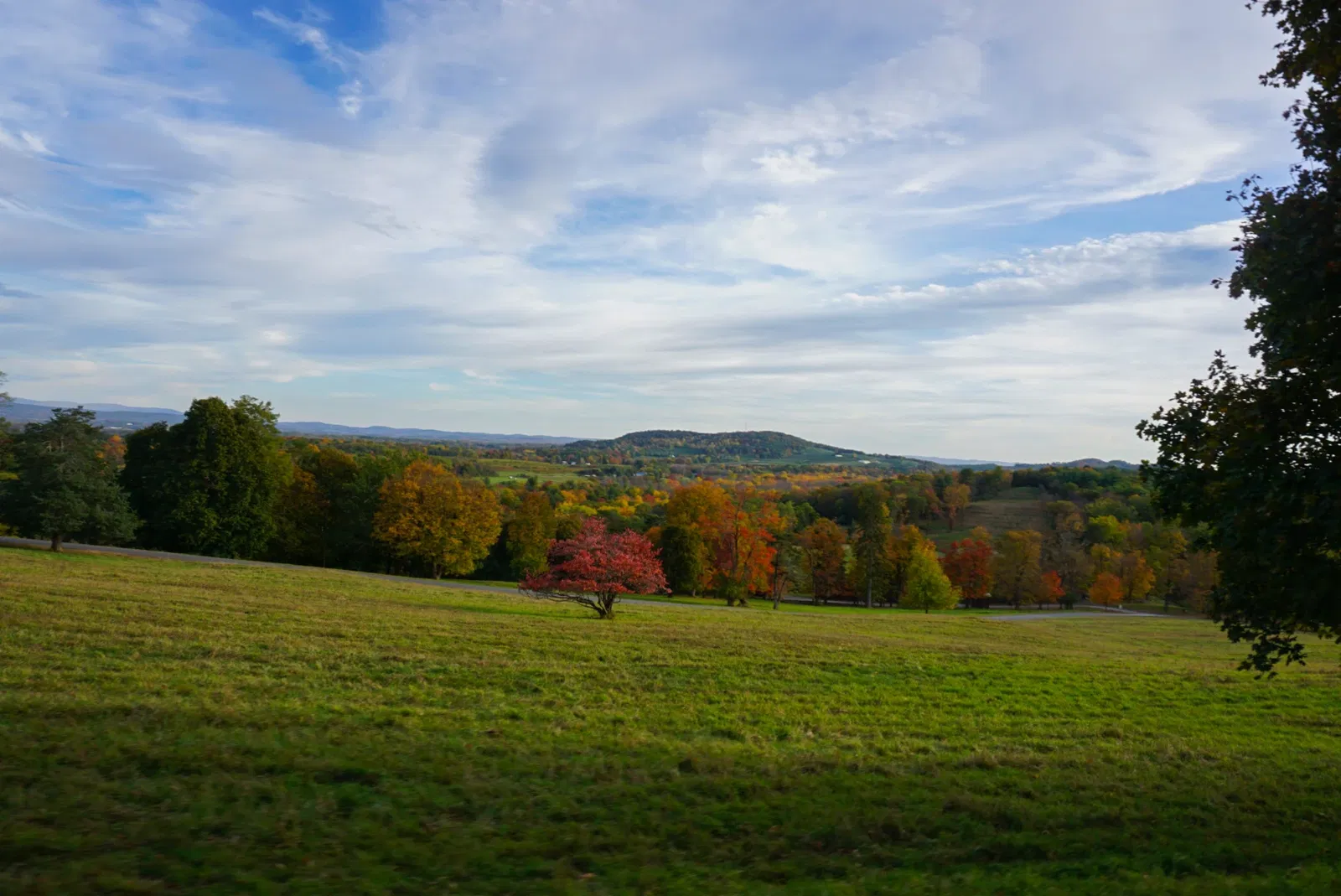 Olana NY State Historic Site