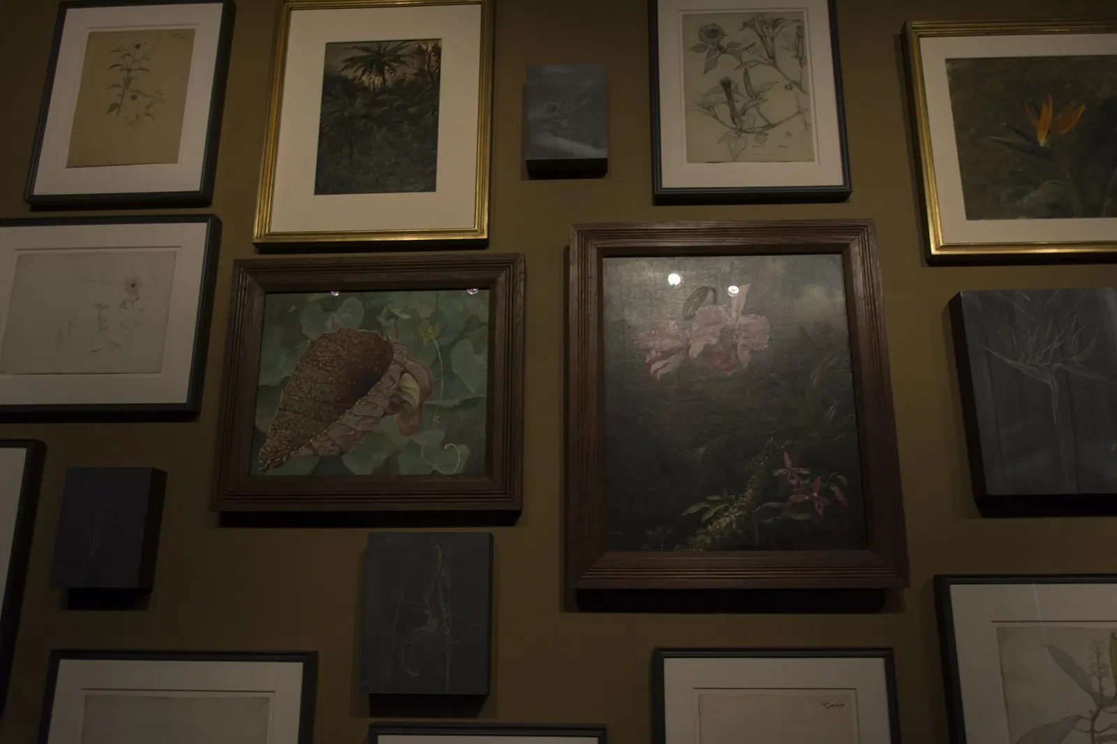 Olana NY State Historic Site