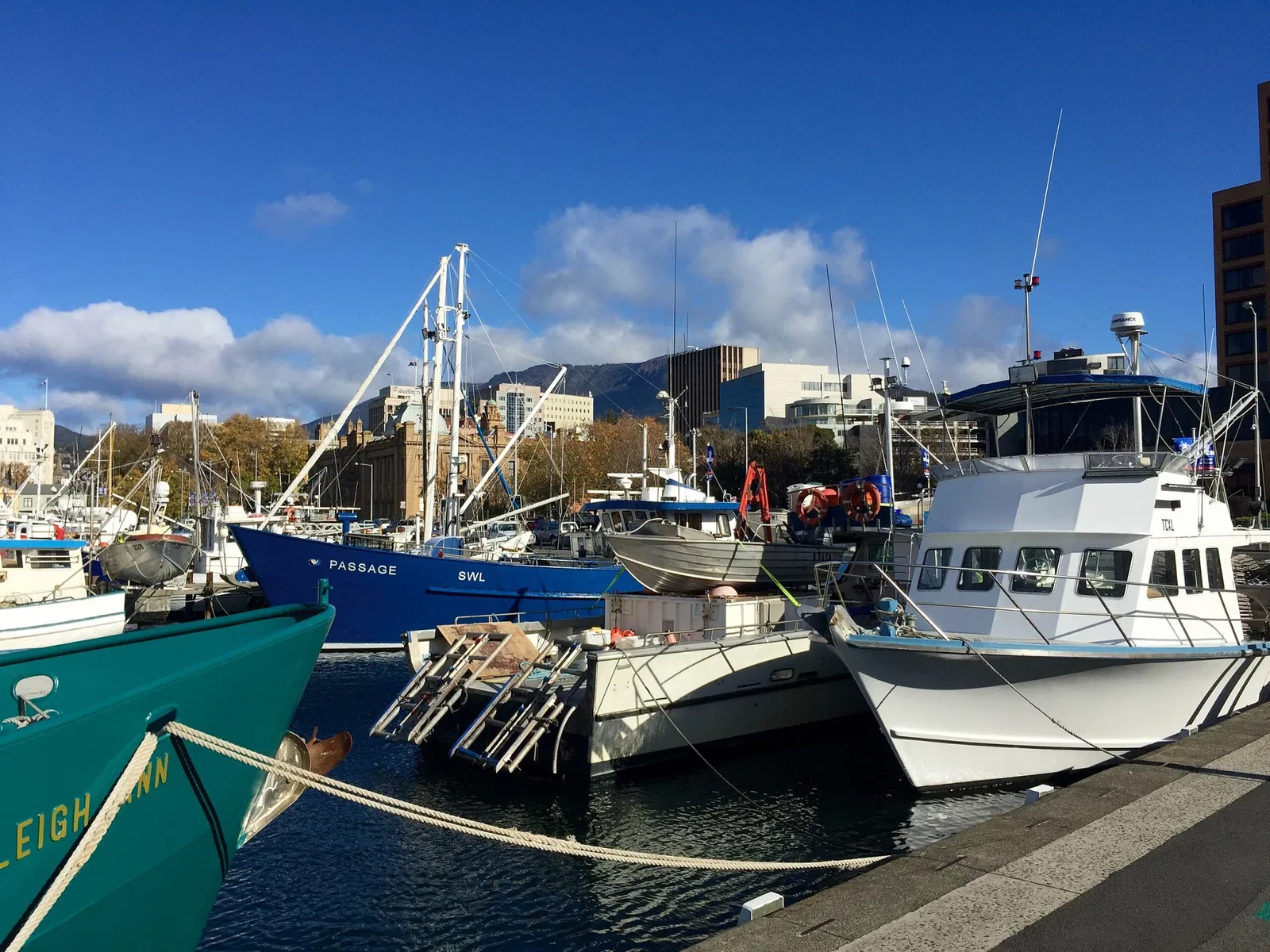 Tasmanian Museum and Art Gallery