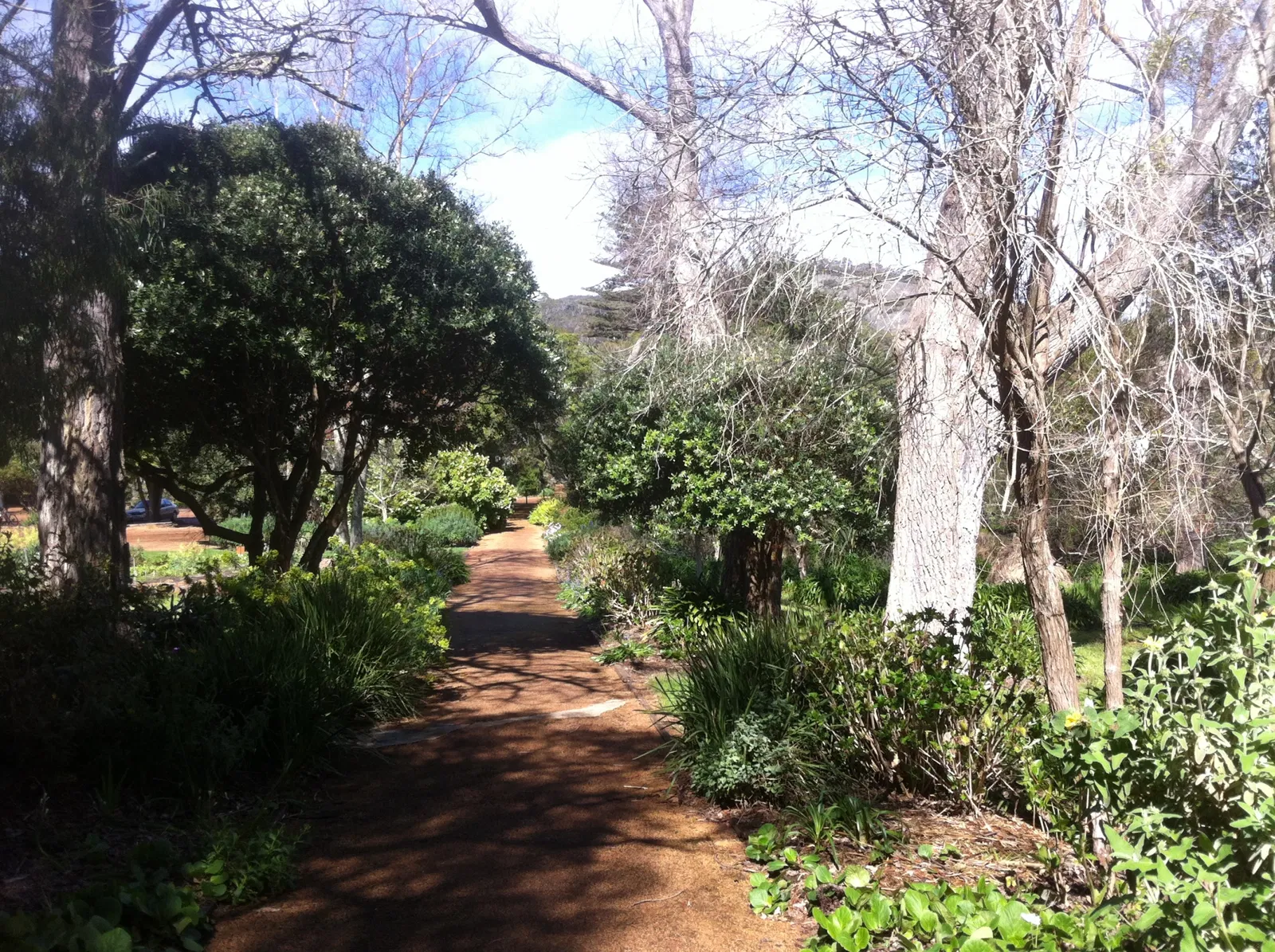 Strawberry Hill at Barmup