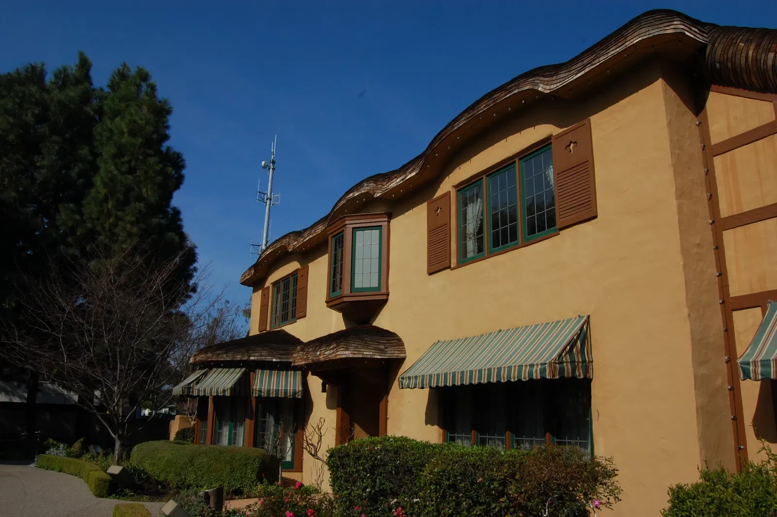 Ainsley House - Campbell Museums