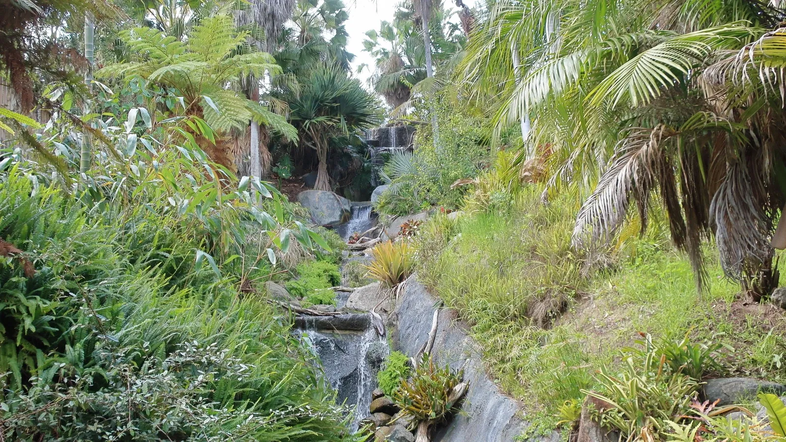 San Diego Botanic Garden