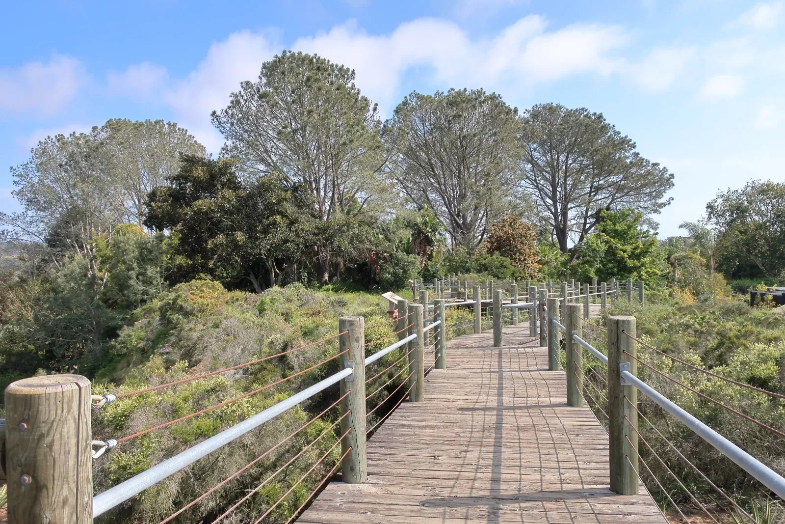 Jardín botánico de San Diego