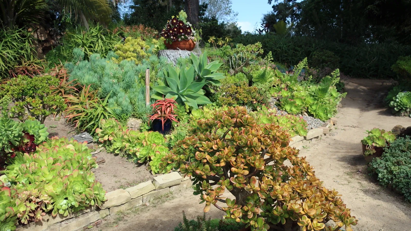 San Diego Botanic Garden