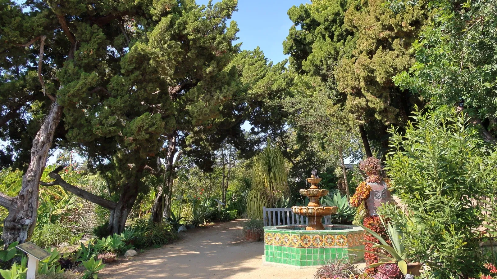 Jardín botánico de San Diego