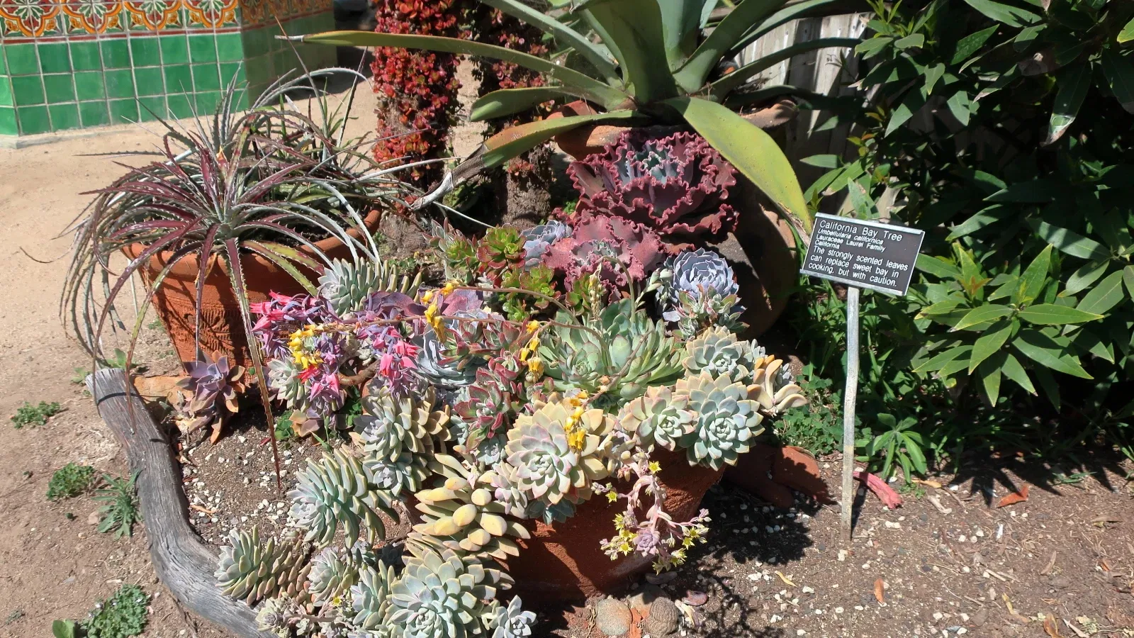 San Diego Botanic Garden