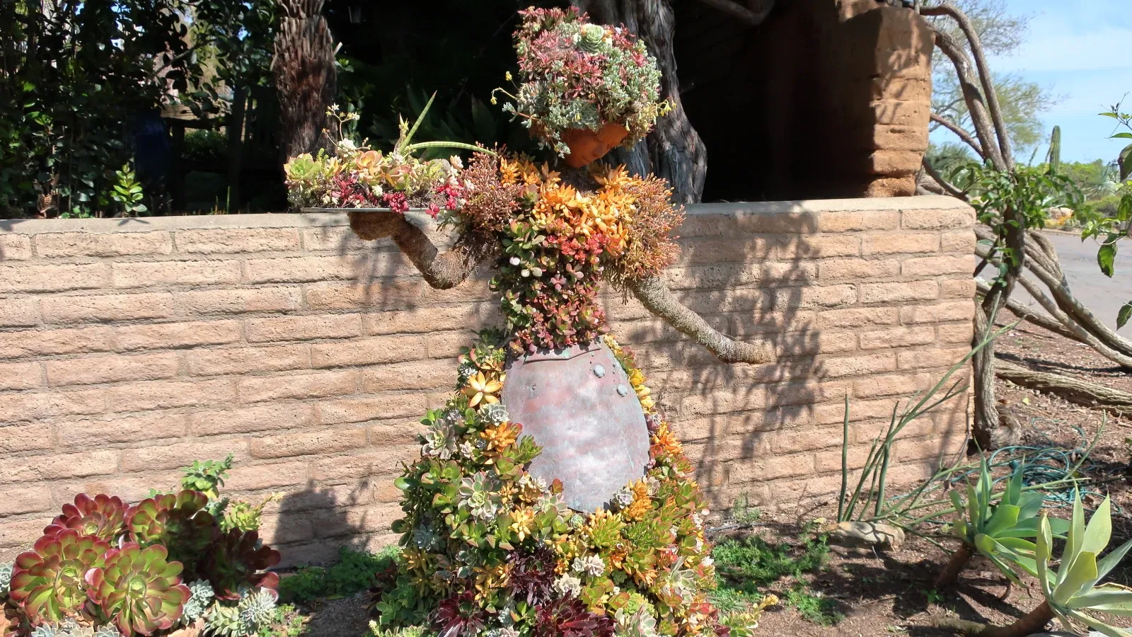 San Diego Botanic Garden