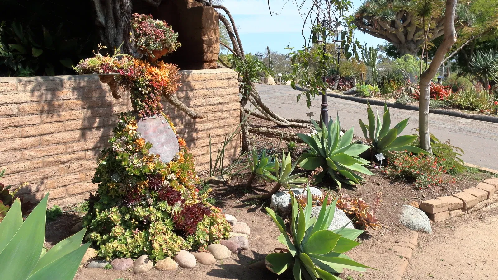 Jardín botánico de San Diego