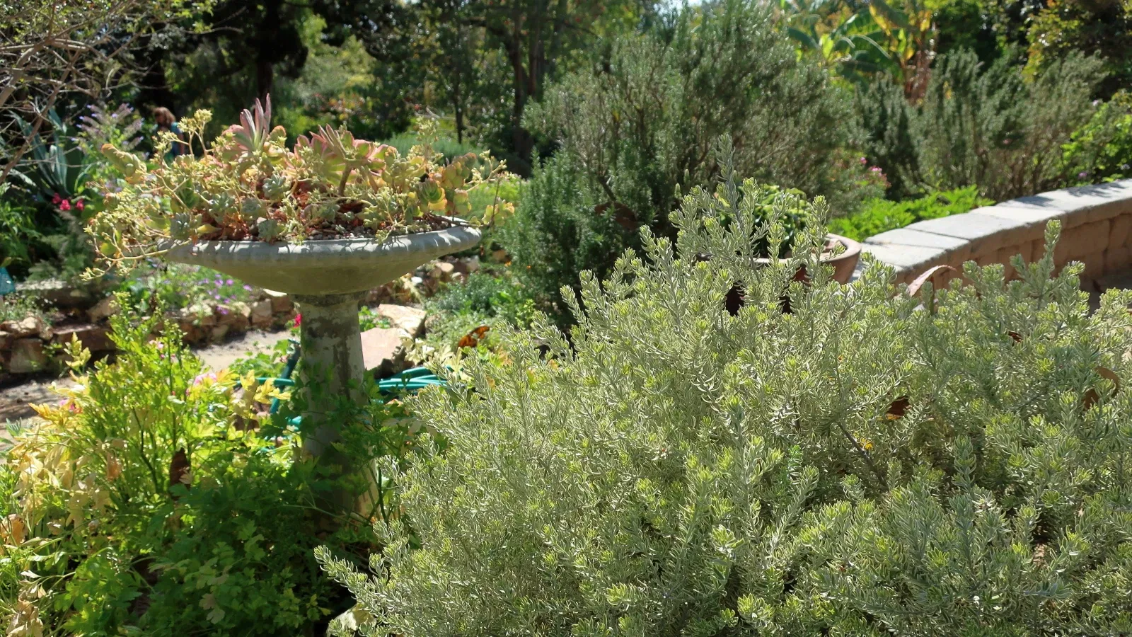 San Diego Botanic Garden