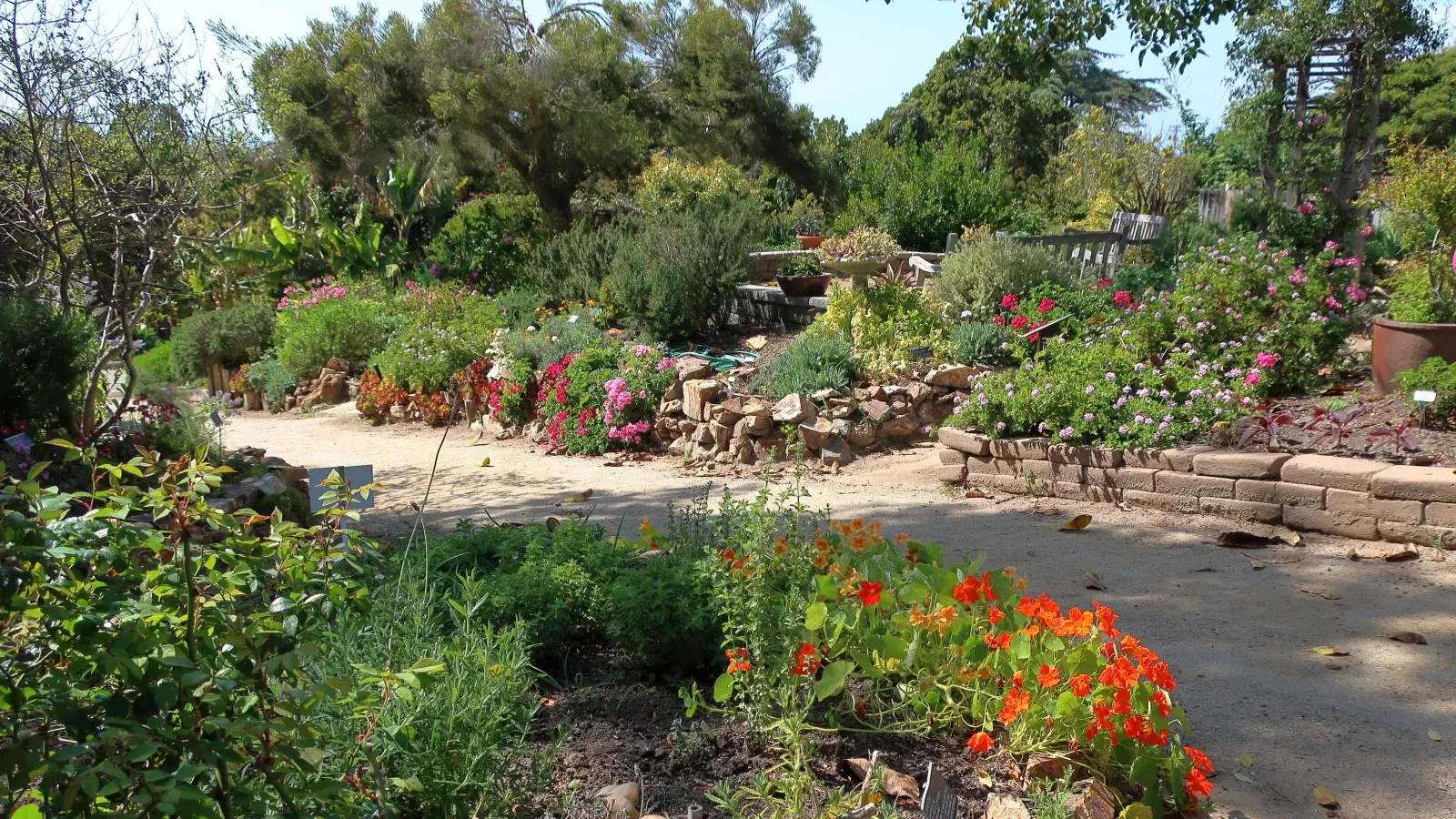 San Diego Botanic Garden