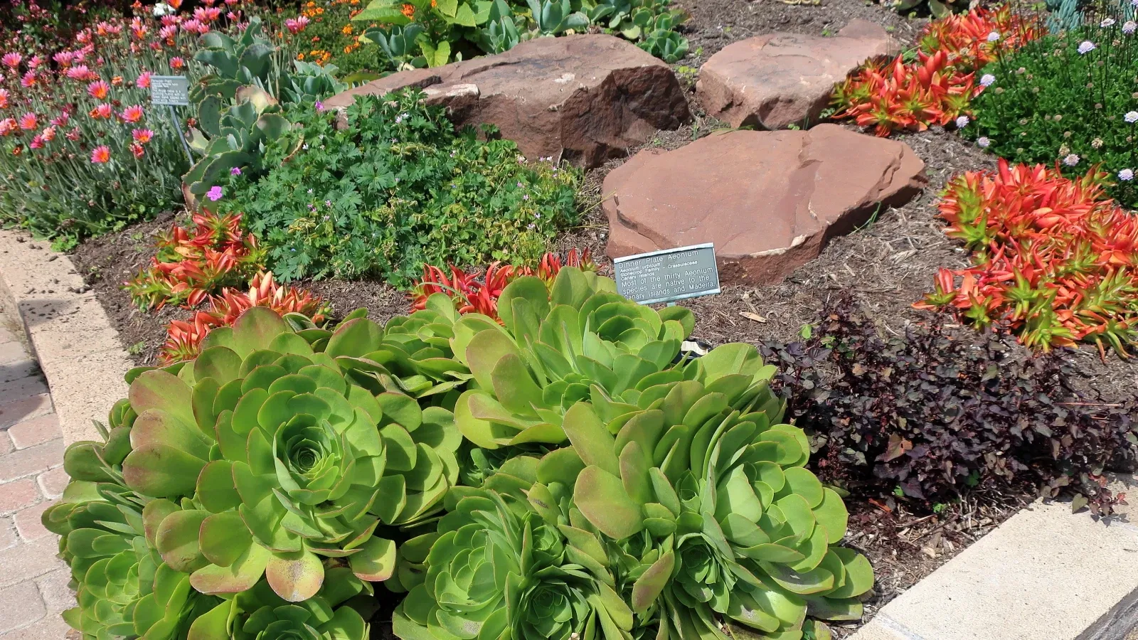 San Diego Botanic Garden