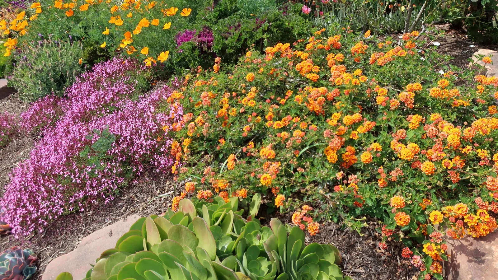 San Diego Botanic Garden