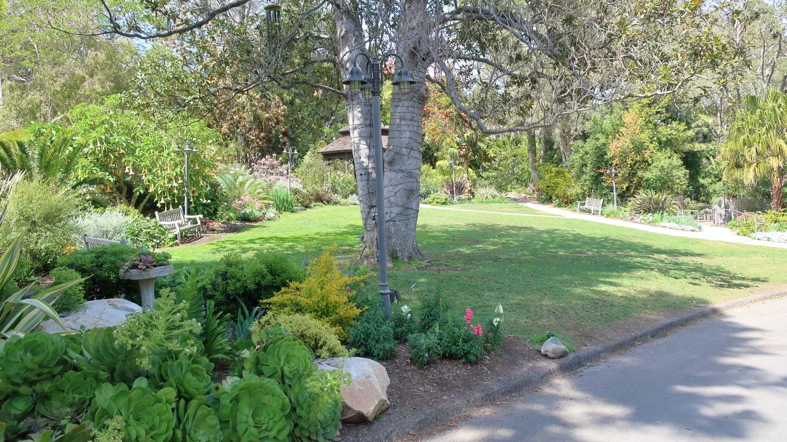 Jardín botánico de San Diego