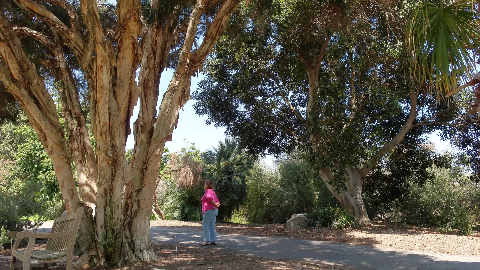 San Diego Botanic Garden