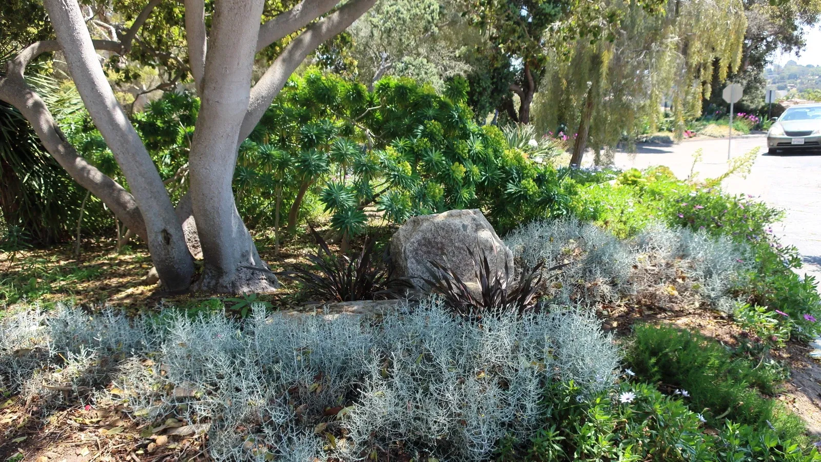 San Diego Botanic Garden