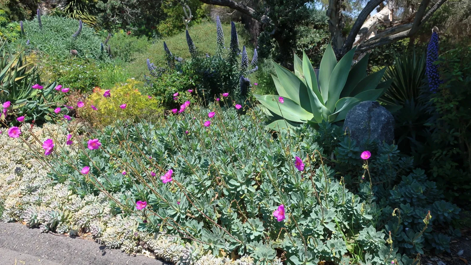 San Diego Botanic Garden
