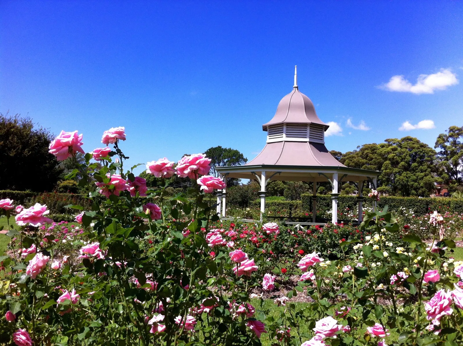 Wollongong Botanical Gardens