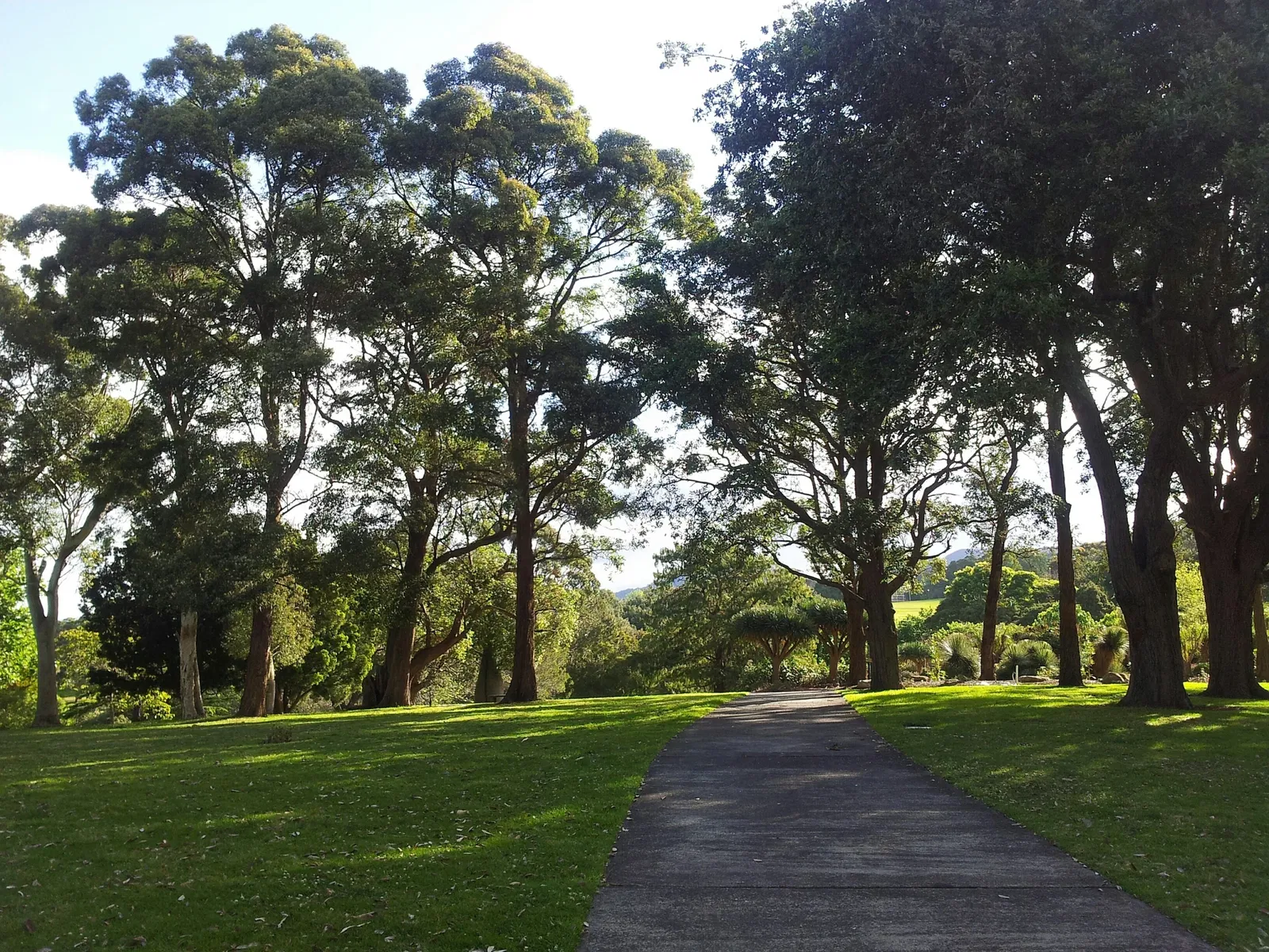 Wollongong Botanical Gardens