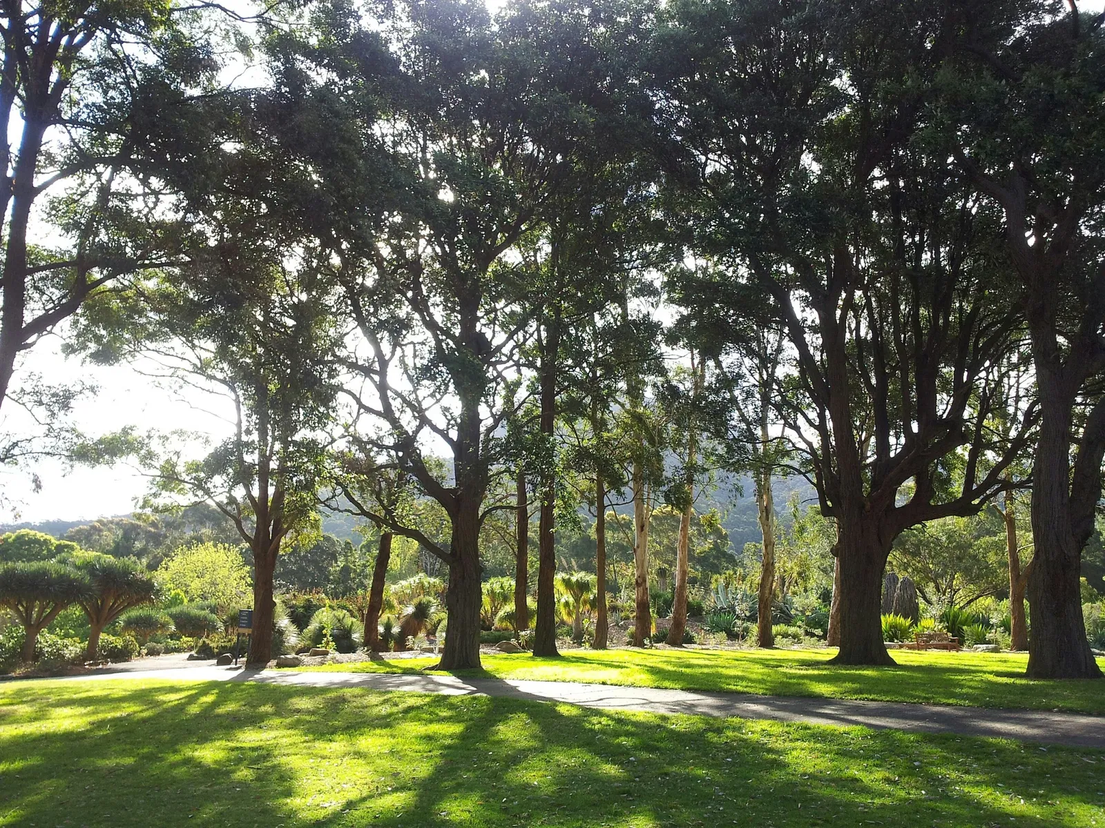 Wollongong Botanical Gardens