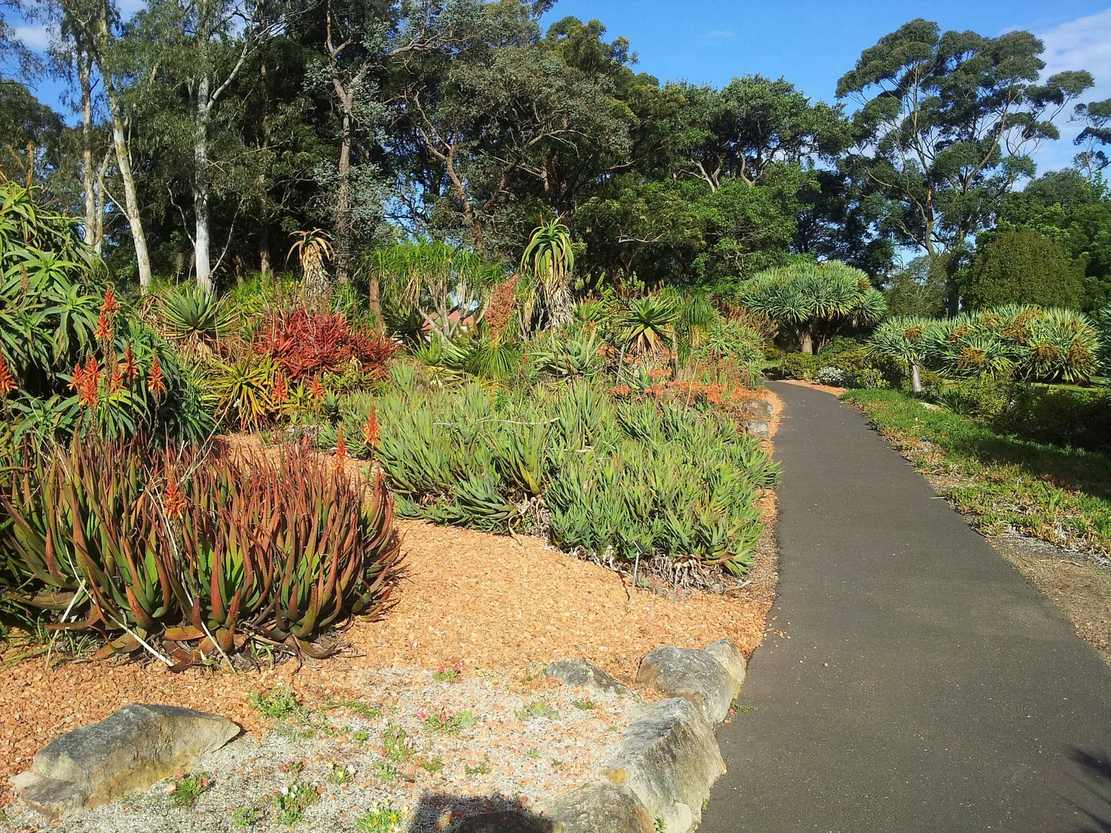 Wollongong Botanical Gardens