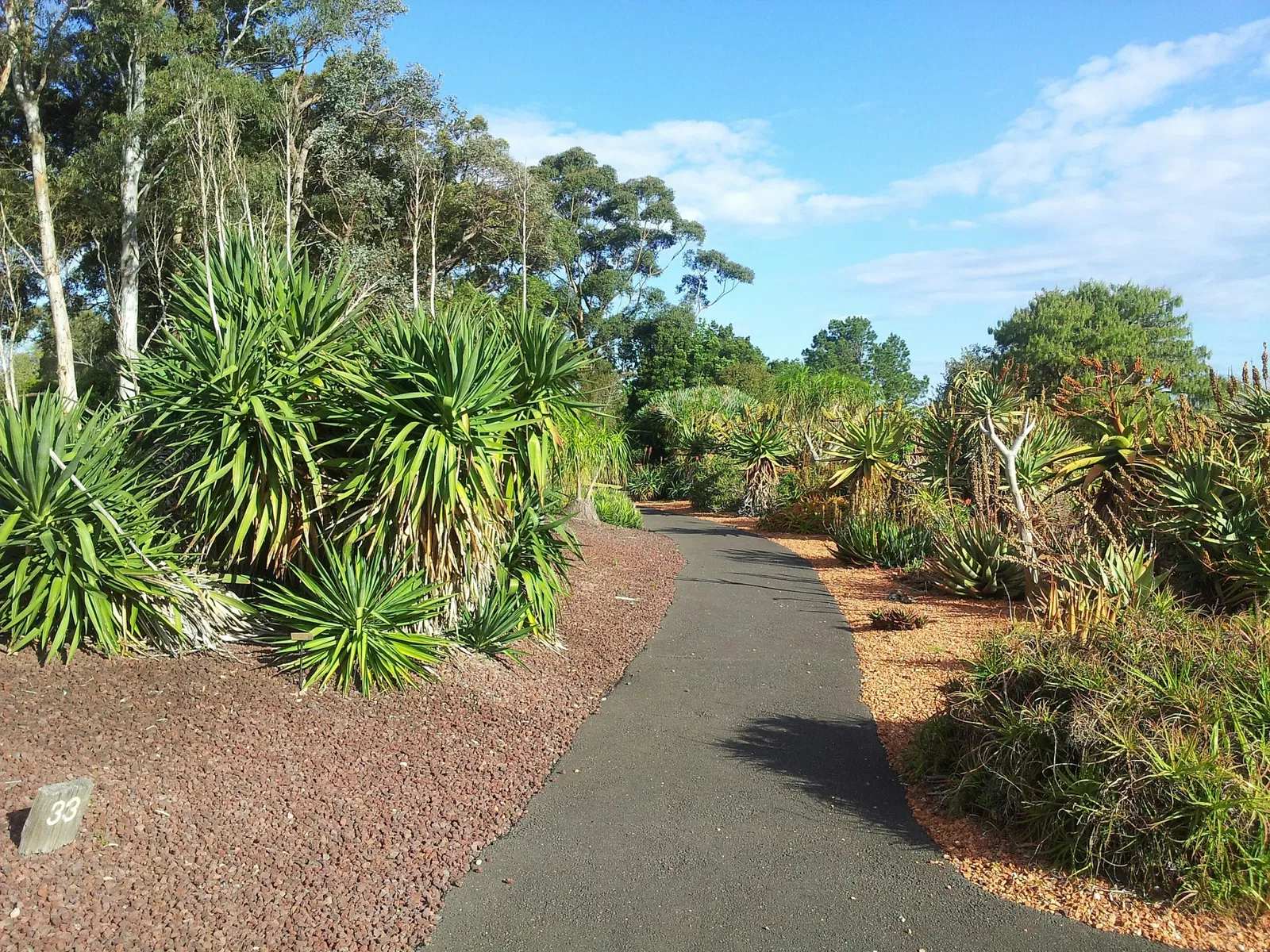 Wollongong Botanical Gardens