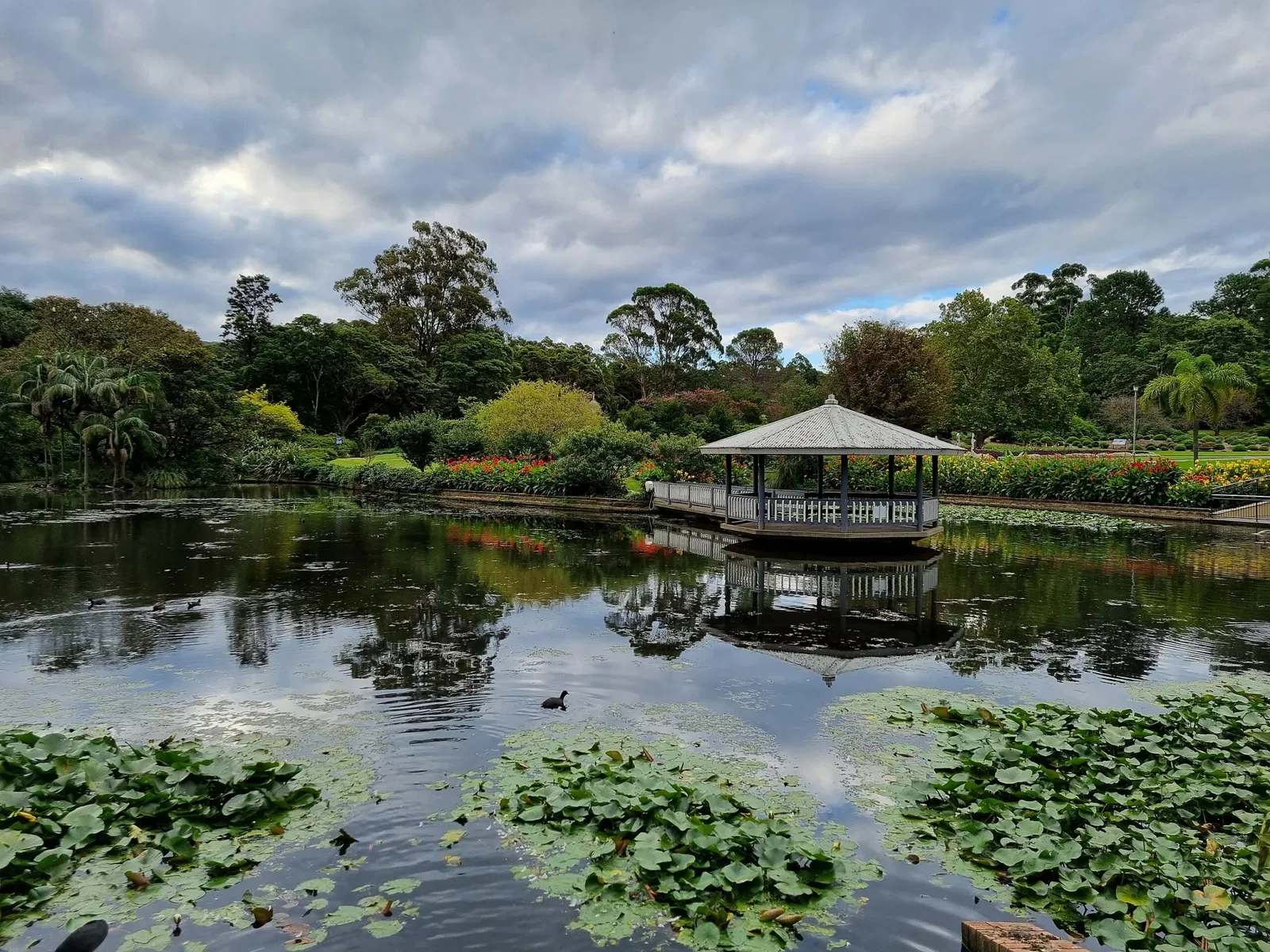 Wollongong Botanical Gardens