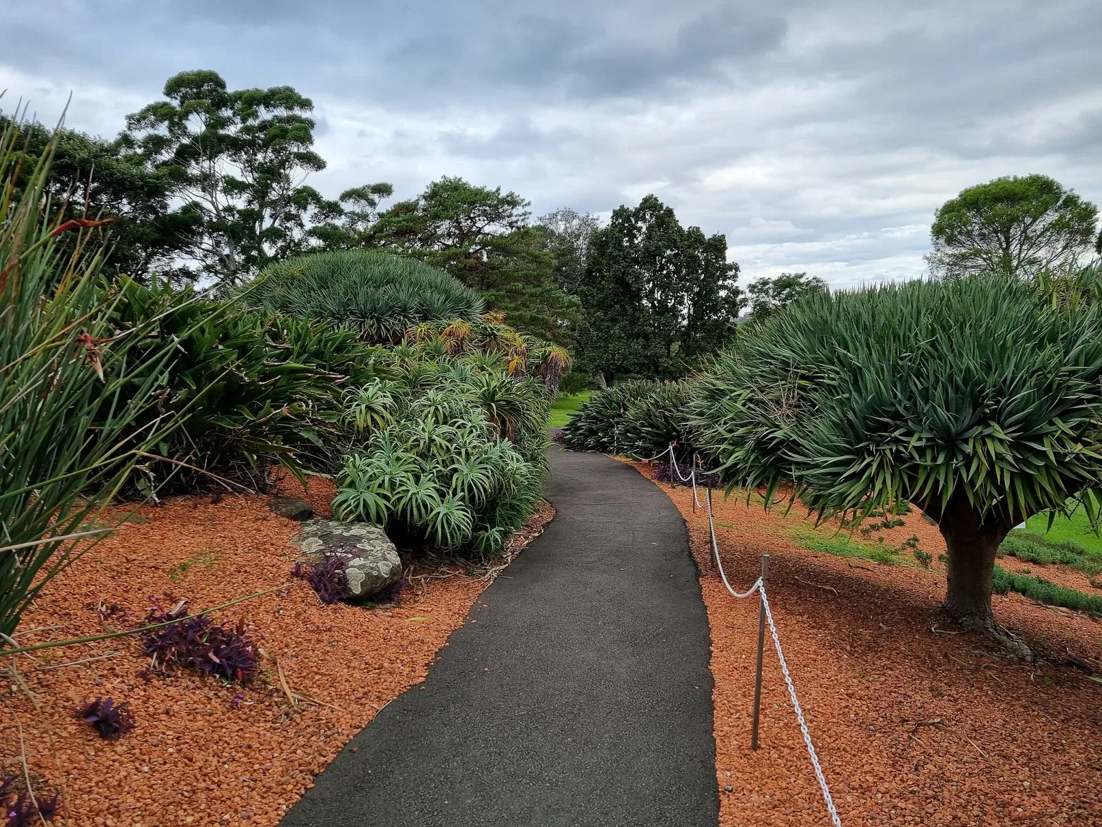Wollongong Botanical Gardens