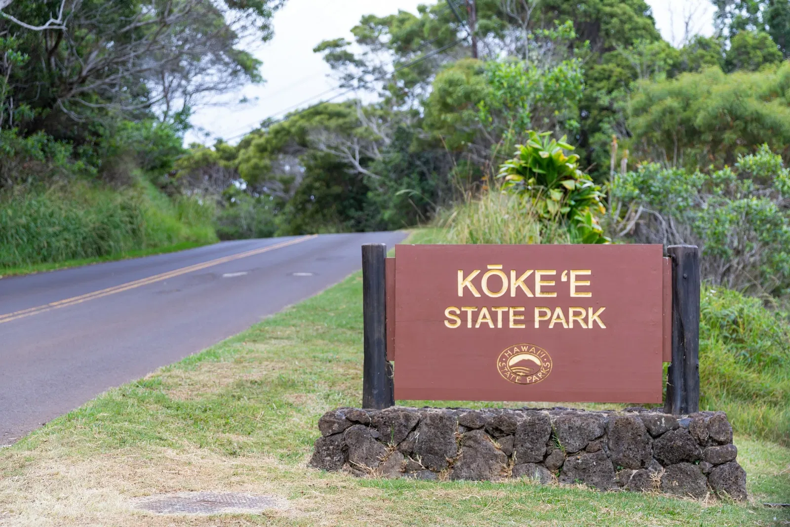 Hui o Laka - Kokee State Park
