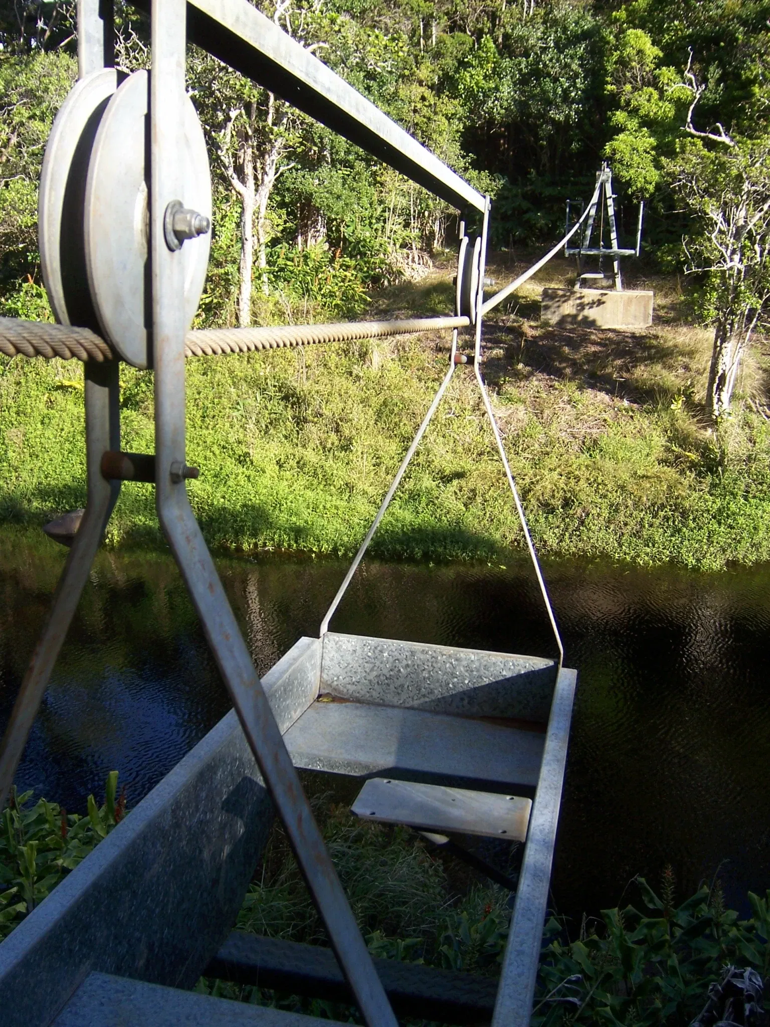 Hui o Laka - Kokee State Park