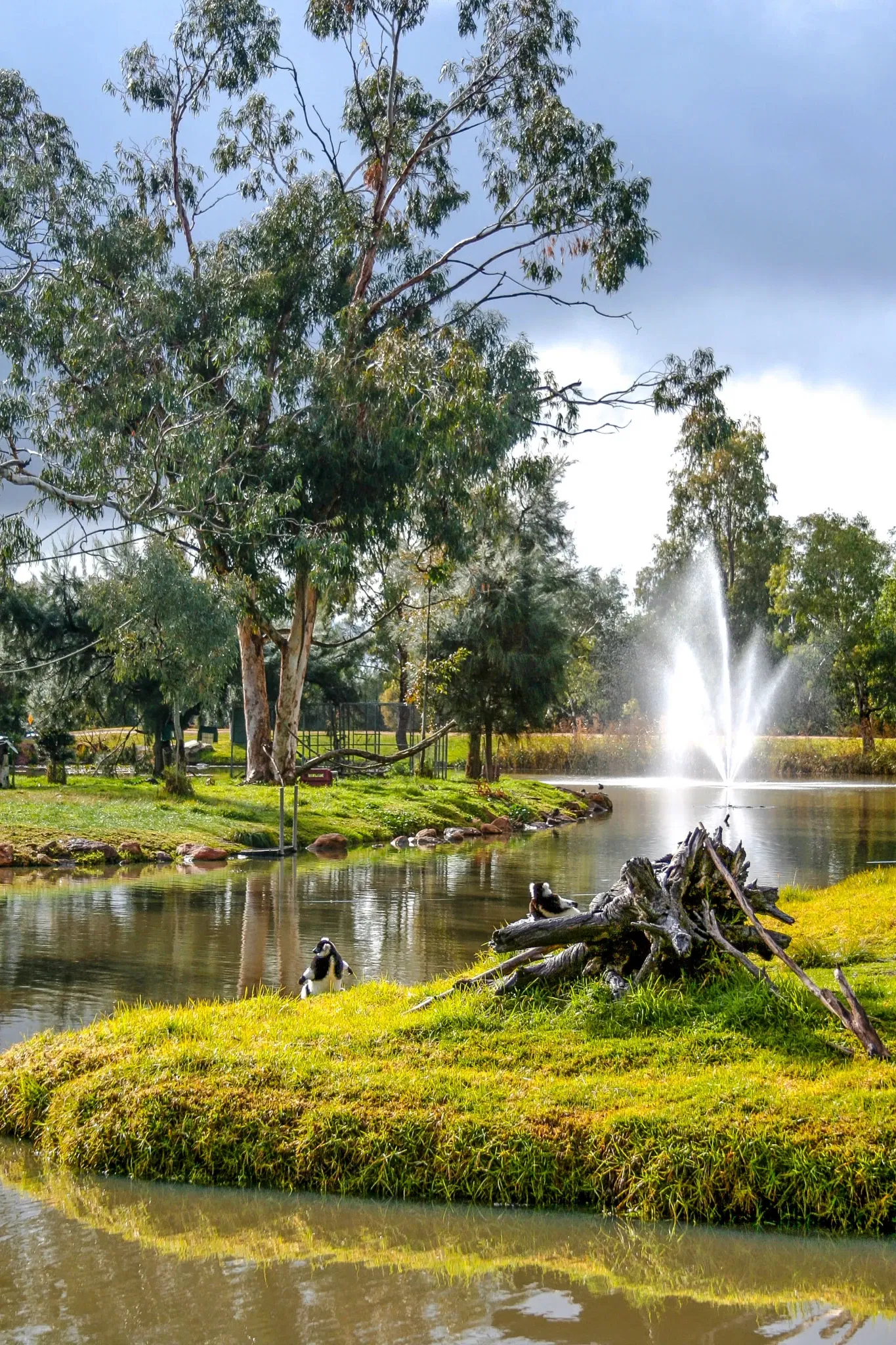 Taronga Western Plains Zoo
