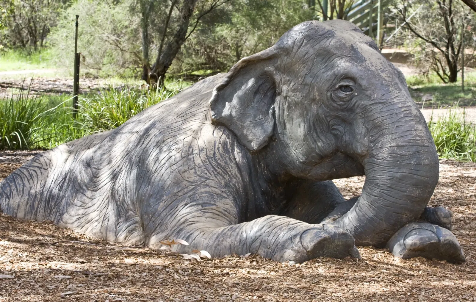 Taronga Western Plains Zoo