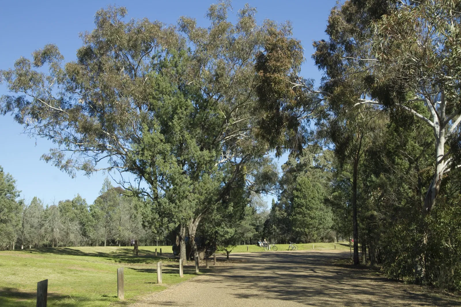 Taronga Western Plains Zoo