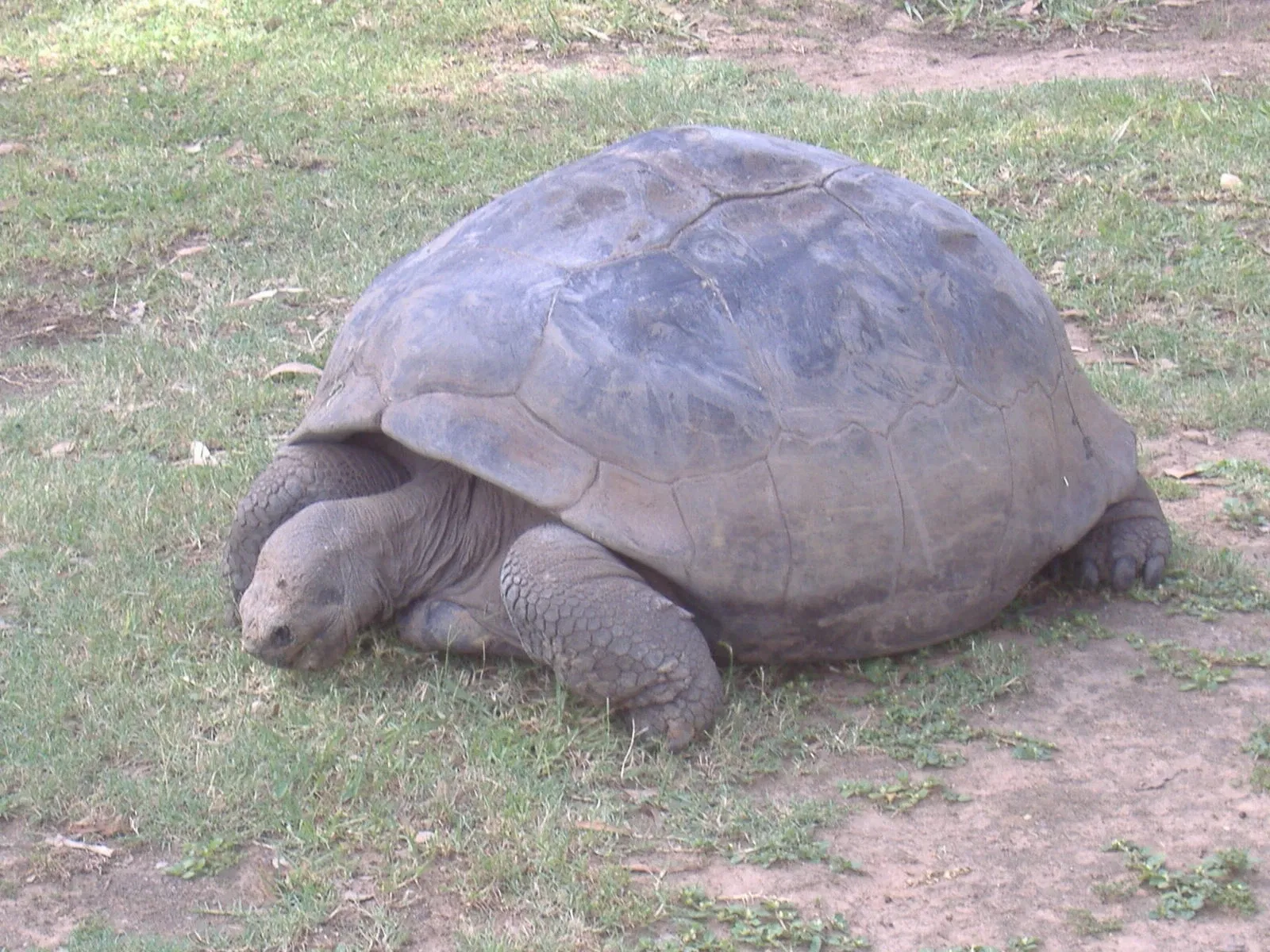 Taronga Western Plains Zoo