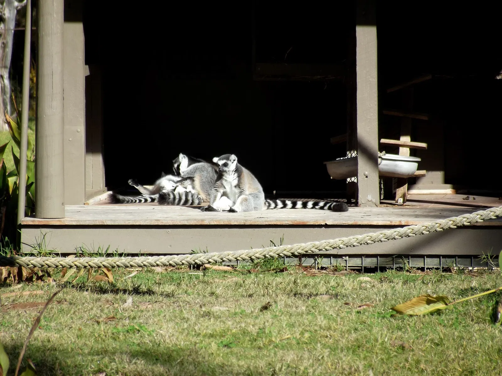 Taronga Western Plains Zoo