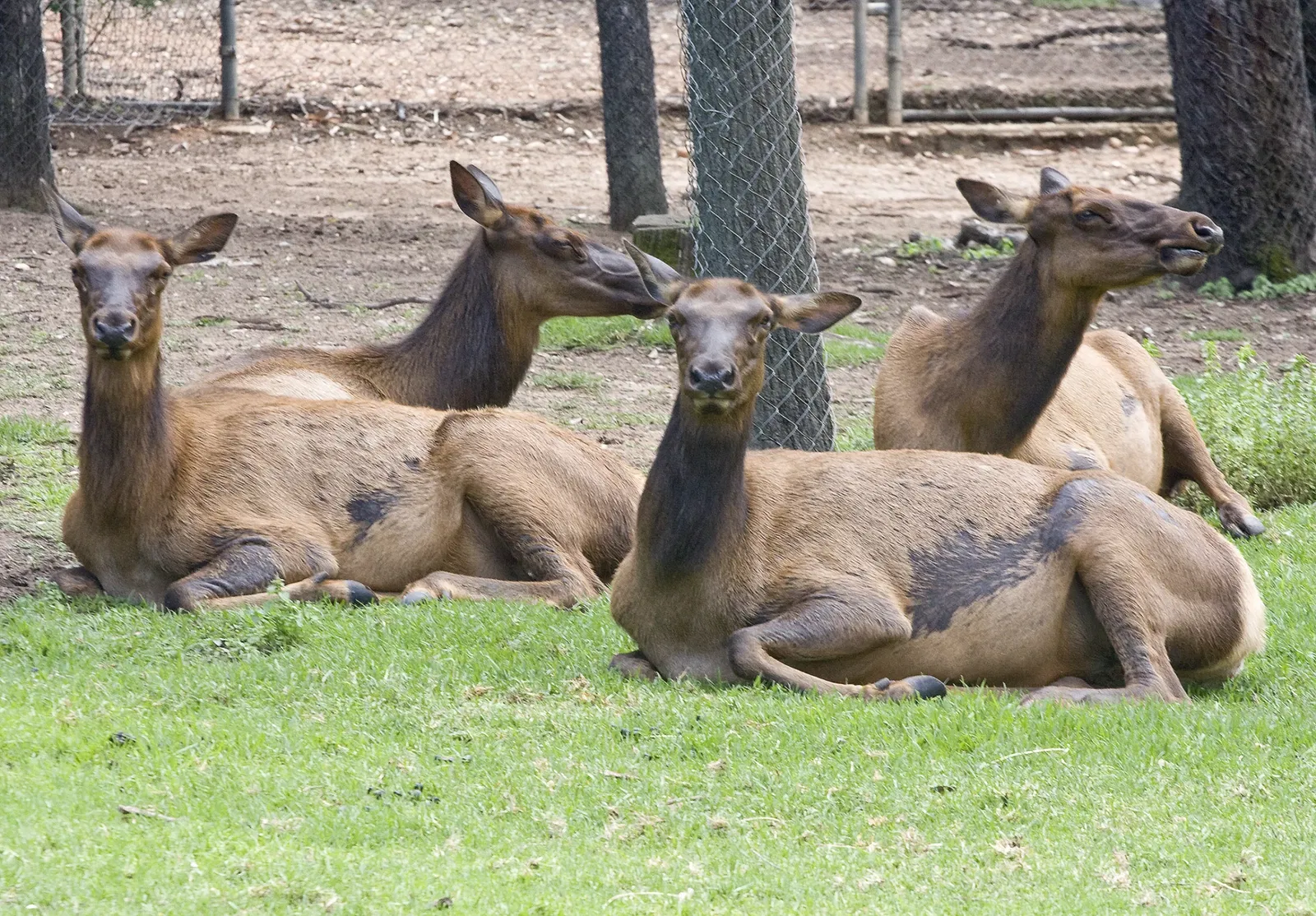 Taronga Western Plains Zoo