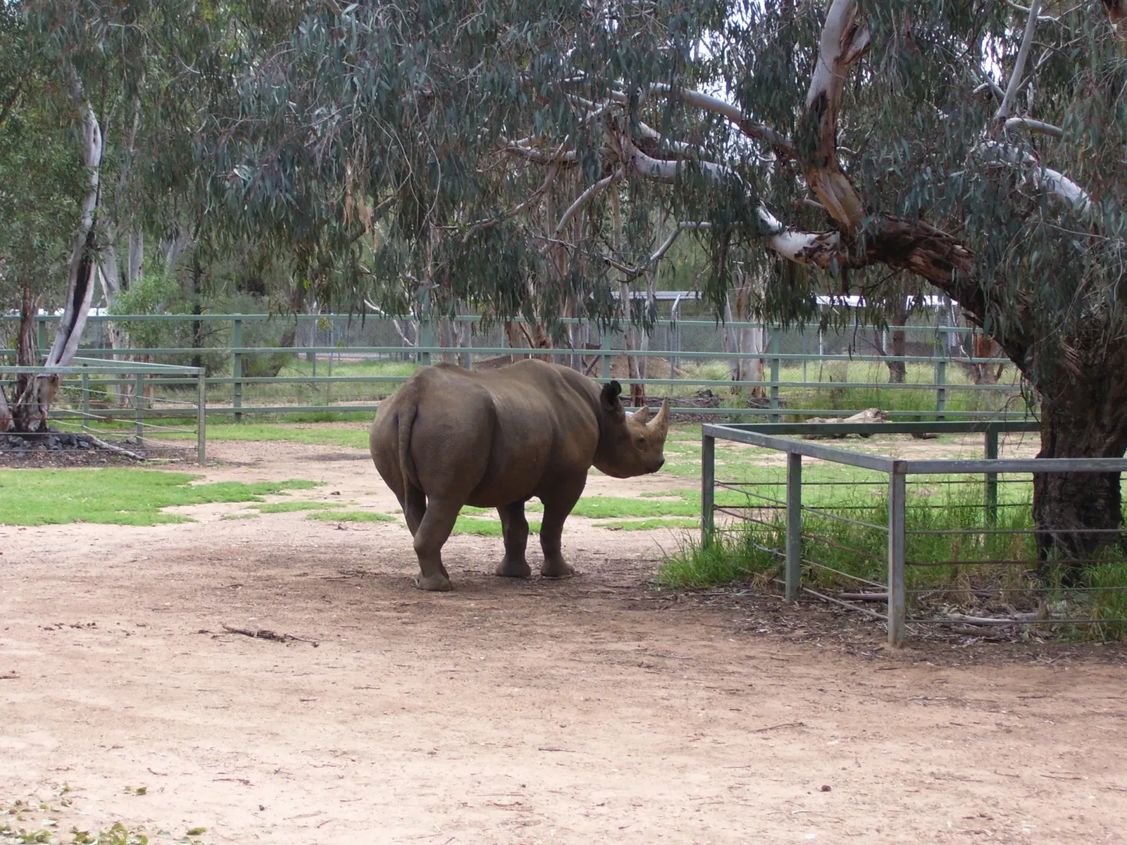 Taronga Western Plains Zoo