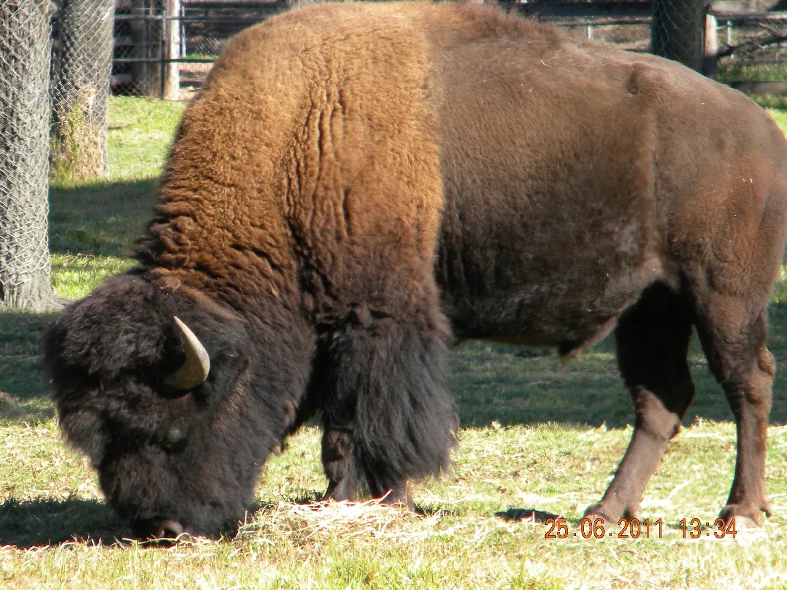 Taronga Western Plains Zoo