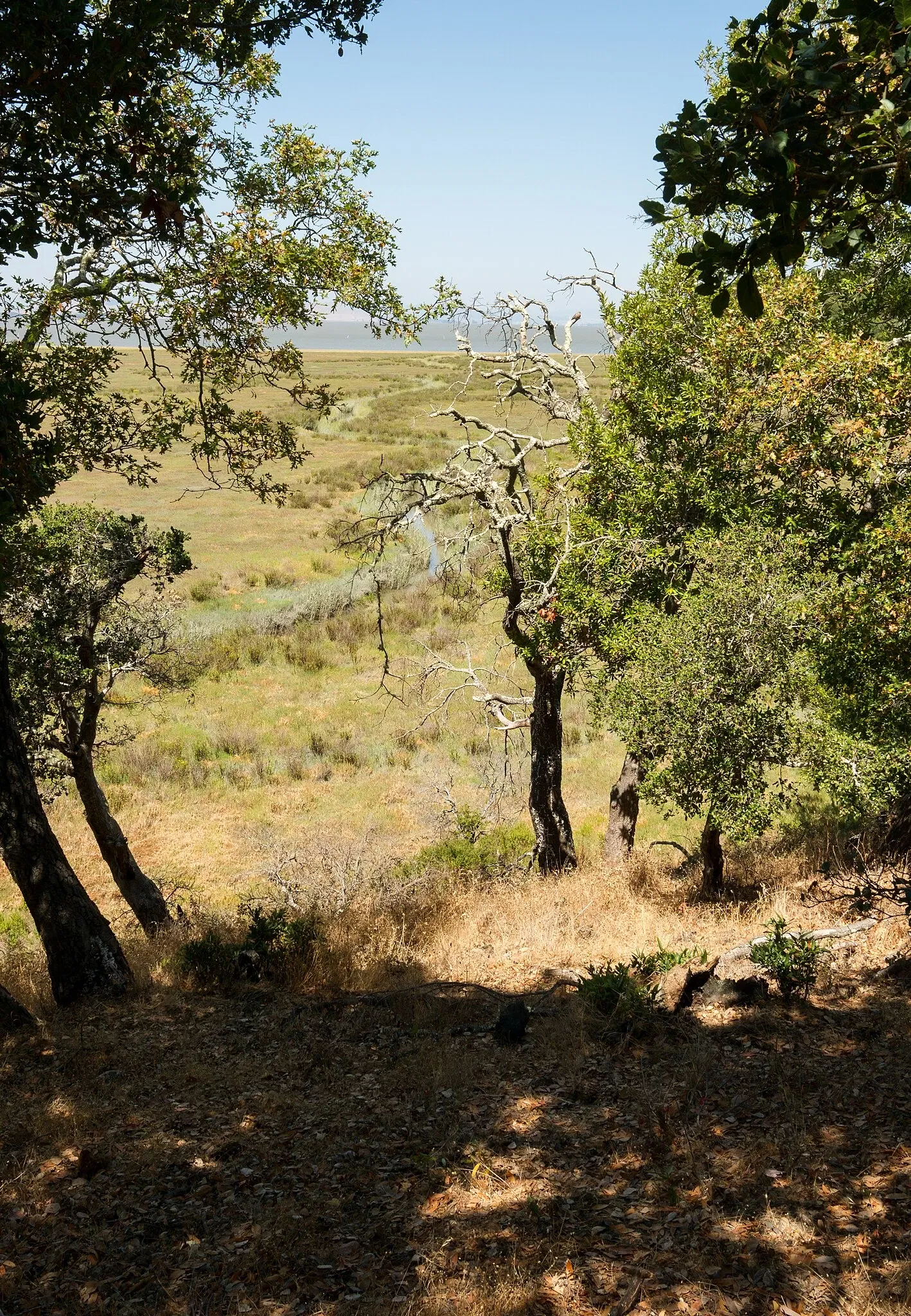 China Camp State Park