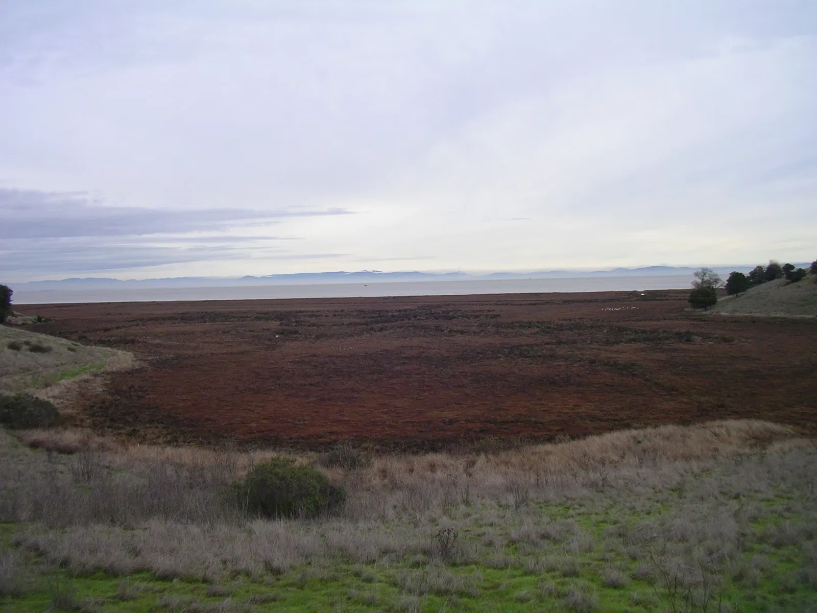 China Camp State Park