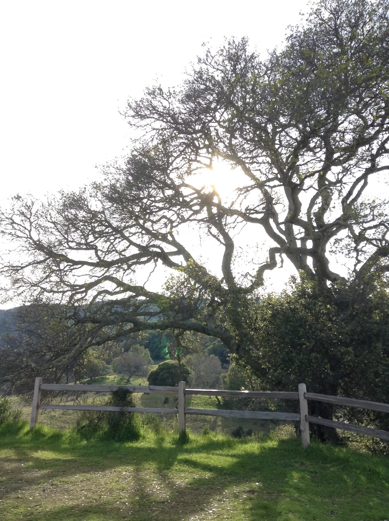 China Camp State Park