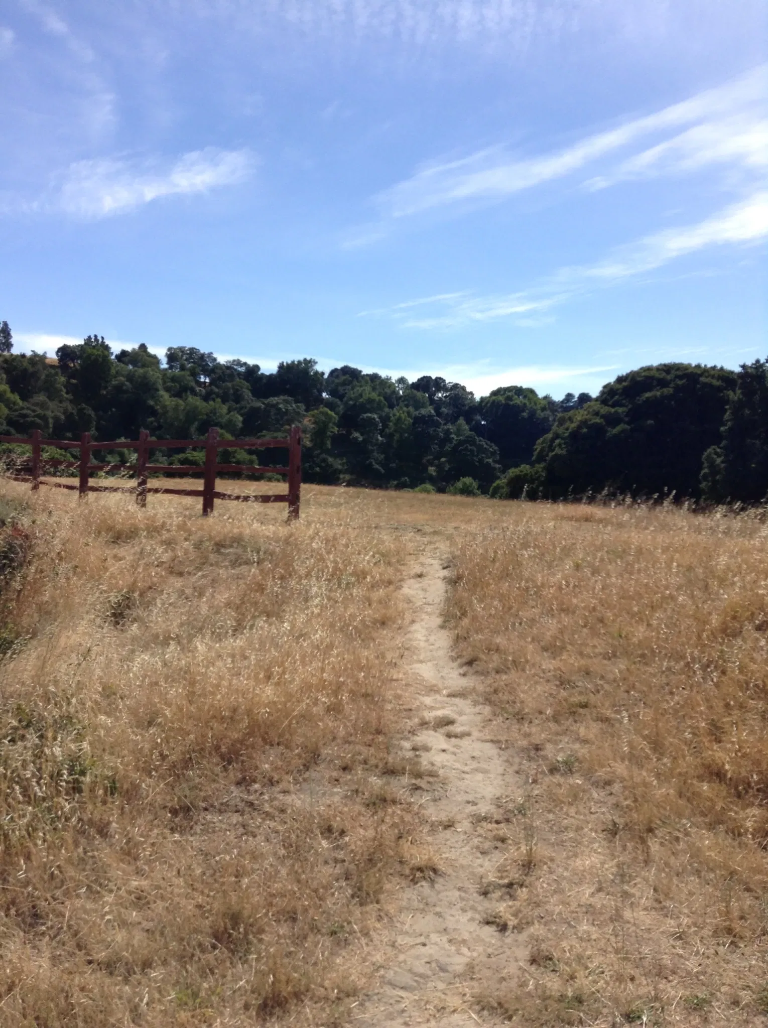 China Camp State Park