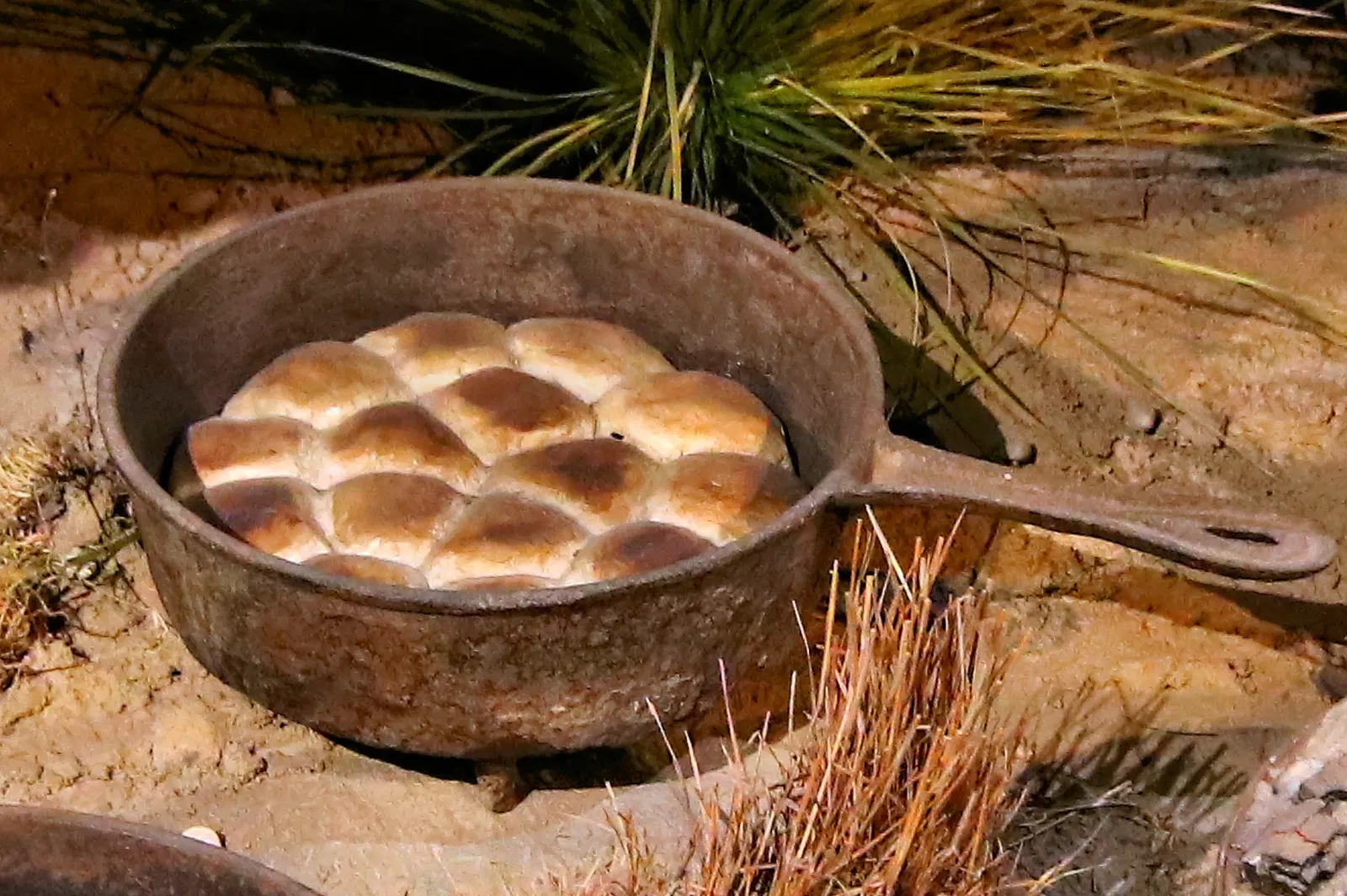 Panhandle–Plains Historical Museum