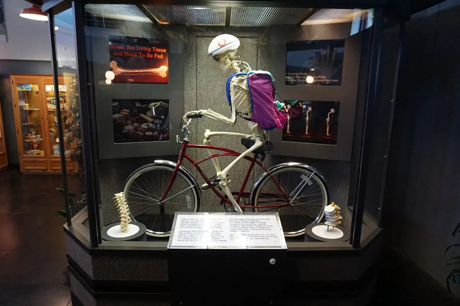 Southwest Dairy Museum and Education Center