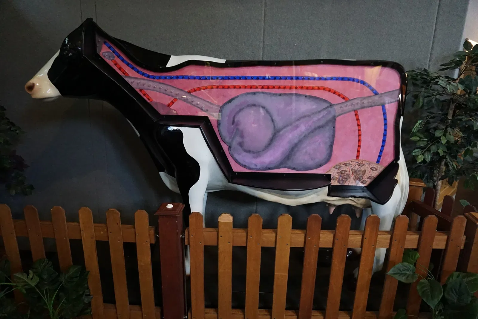 Southwest Dairy Museum and Education Center