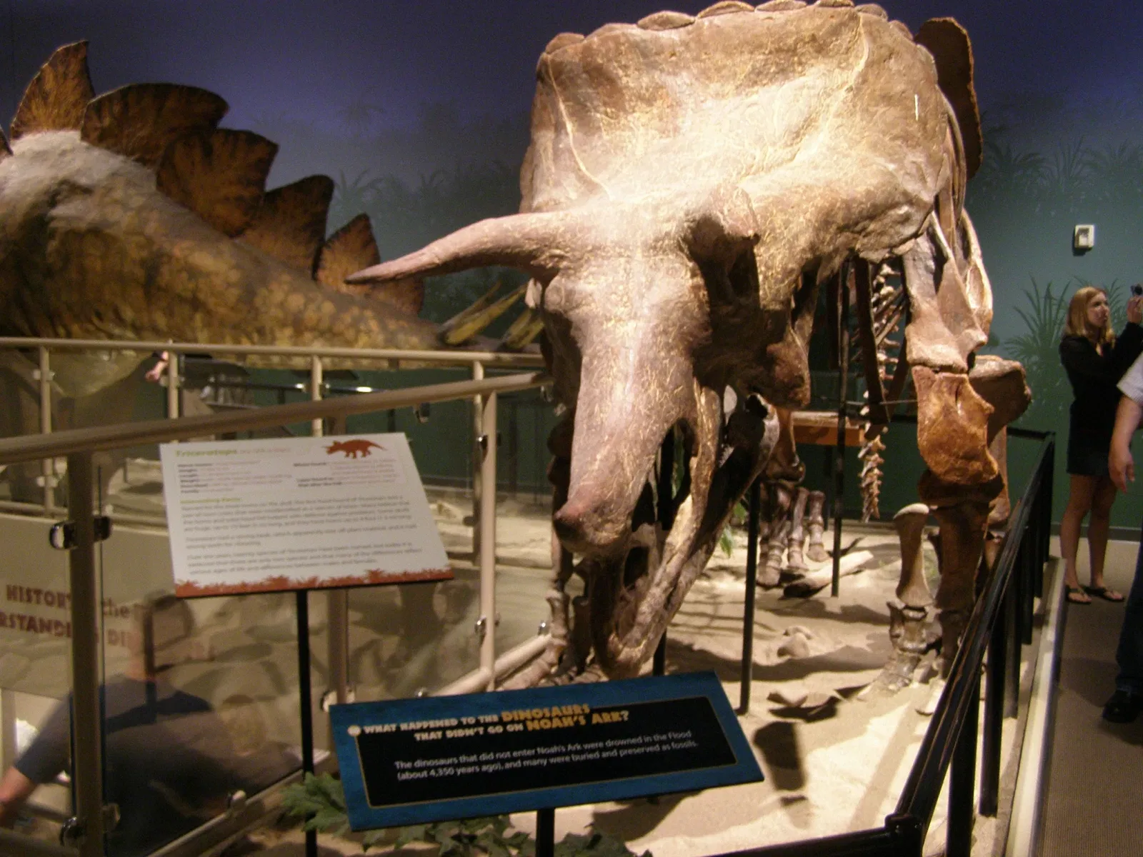 Creation Museum