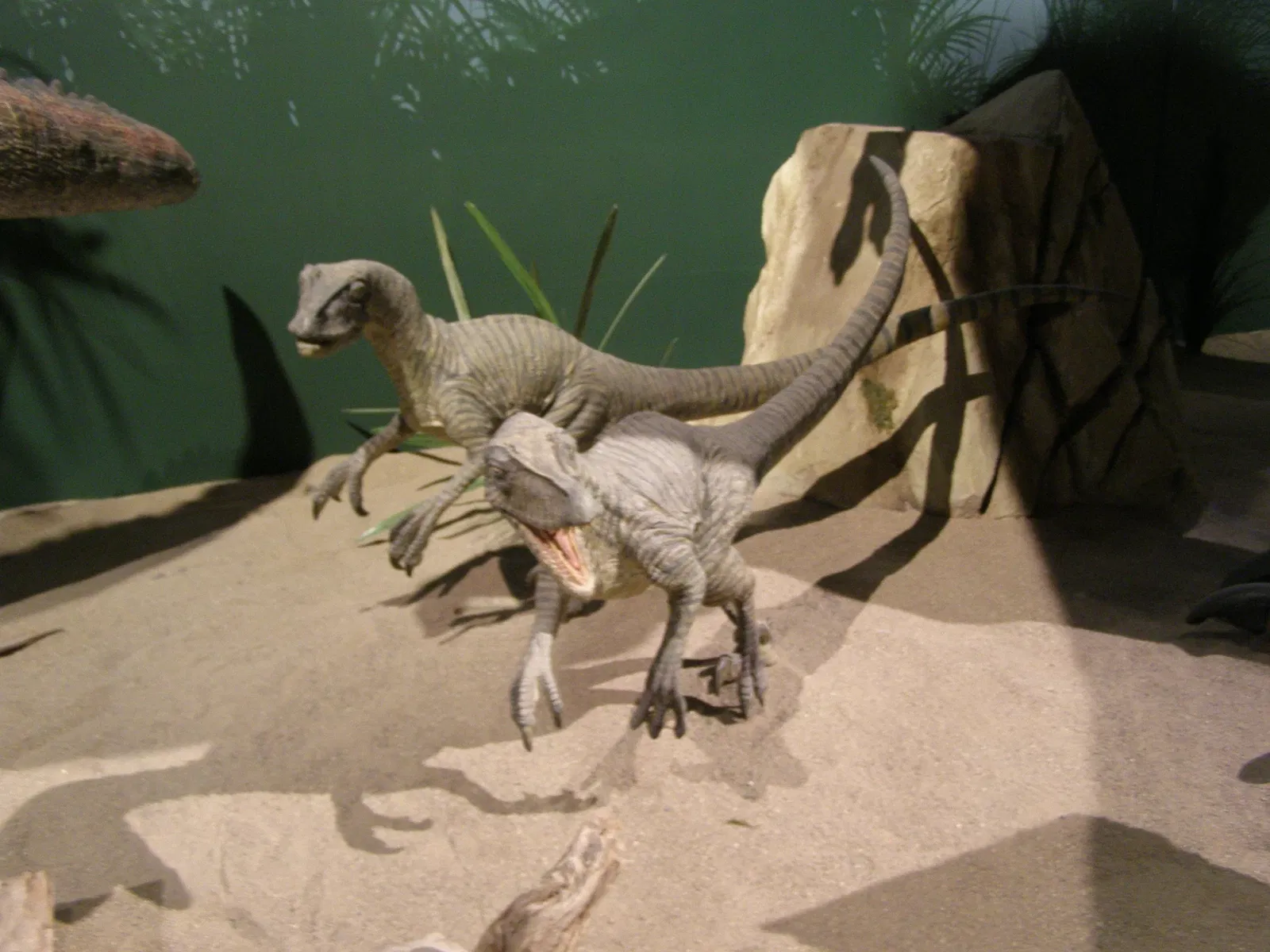 Creation Museum