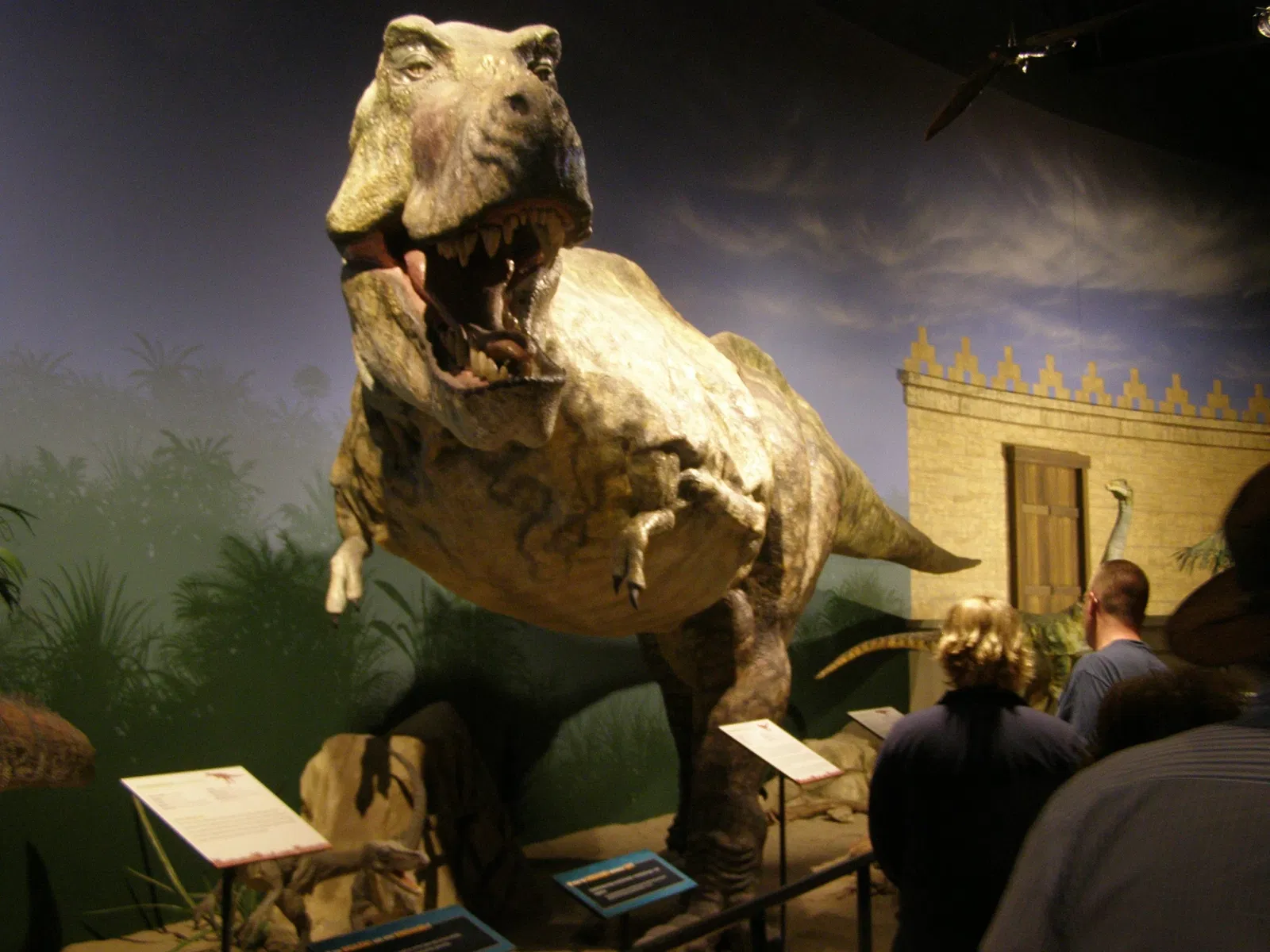 Creation Museum
