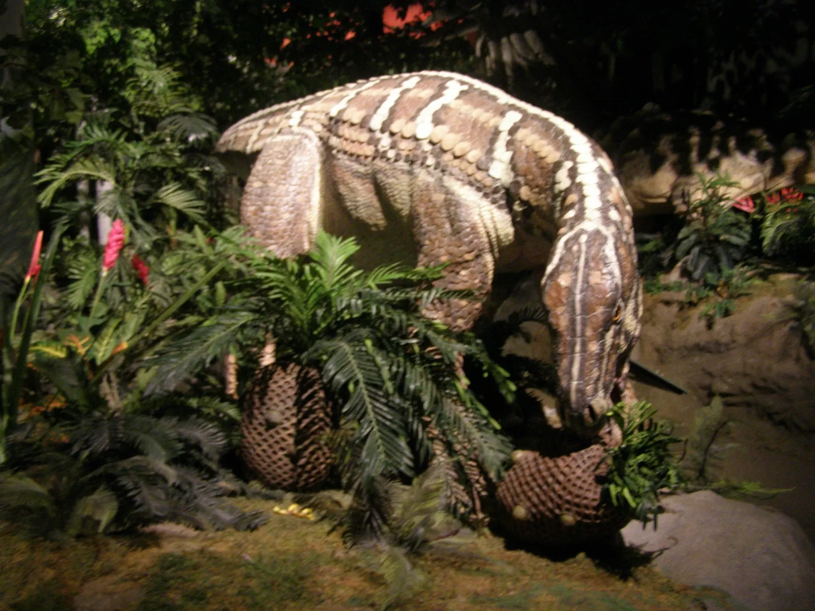 Creation Museum