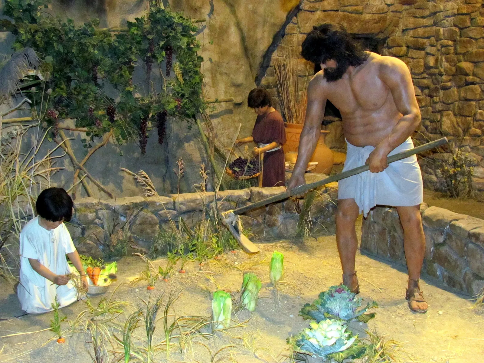 Creation Museum